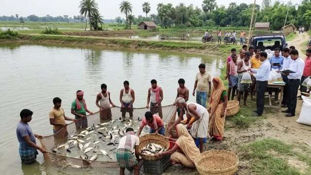 कोसी क्षेत्र में देसी मछली पालन को मिलेगा बढ़ावा, किसानों को सरकार देगी 60% सब्सिडी